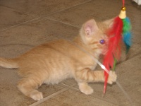 20100206 429.JPG